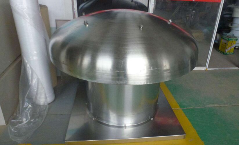 �ӱ����P�����L�C�S��